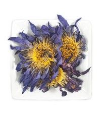 Organic Egyptian Blue Lotus Whole Flowers FRESH (Nymphaea caerulea) 10g #1 Rated