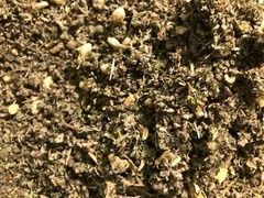 No.32 Herbal Blend Mix – Ginger Jasmine Wild Lettuce Skullcap +Plus Other Herbs!