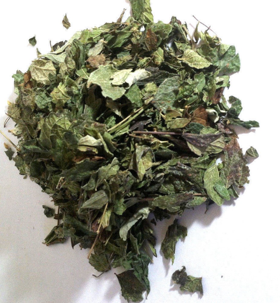 1 oz. Mexican Dream Herb (Calea Zacatechichi) Wildharvested Mexico