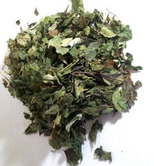 1 oz. Mexican Dream Herb (Calea Zacatechichi) Wildharvested Mexico