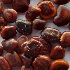Tamarind seeds whole Tamarindus indica Imlii beej