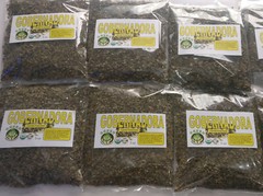  Gobernadora Tea Natural Hierbas Mexicanas 3oz Larrea tridentata Chaparral leaf 
