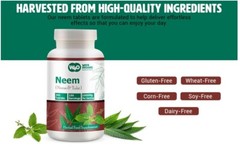 Neem Tulsi Tablets, 300 Pills, 150 Servings. Equal Ratio of Neem & Tulsi(3 Pack)