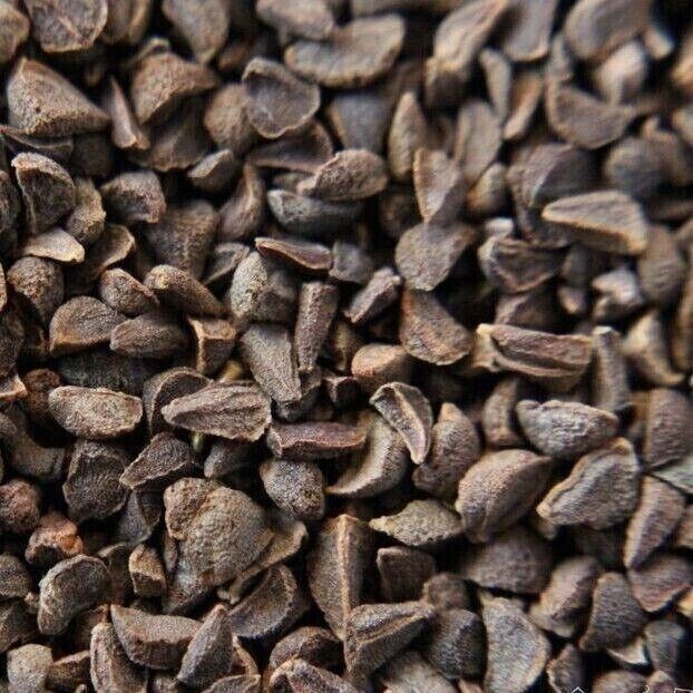 Natural Organic Harmala Seeds Wild Rue Natural Herb Pure 🥇بذور الحرمل – حرمل