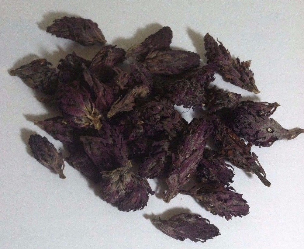 4 oz. Indian Warrior Flowers (Pedicularis Densiflora) Wildharvested USA