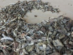 Echinacea, Echinacea angustifolia, 1 oz All Natural Root ~ Schmerbals Herbals