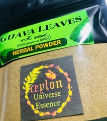 100% Organic Dried Guava Leaves Powder For Herbal Tea, Hojas De Guayaba