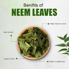 Pure Neem Leaves 0.3 oz Sri Lankan Whole Air Dried Organic Herbal Potent