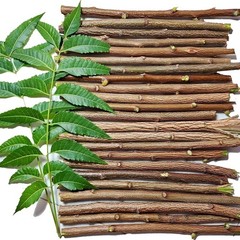 20 Piece. Ayurvedic Natural Organic Neem Datun Toothbrush Tree Twigs Chew Sticks
