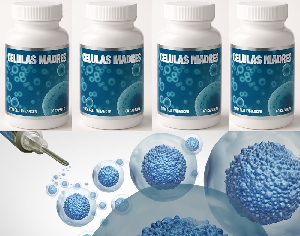 4 STEM CELL ENHANCER CELULAS MADRES REGENERADOR DIGESTIVE BIOXCELL 60 CAPSULES