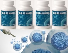 4 STEM CELL ENHANCER CELULAS MADRES REGENERADOR DIGESTIVE BIOXCELL 60 CAPSULES