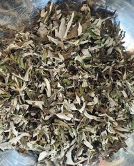 Mugwort (Artemisia vulgaris) dried leaves only (no branches) organically grown