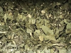 Zapote Blanco 4oz