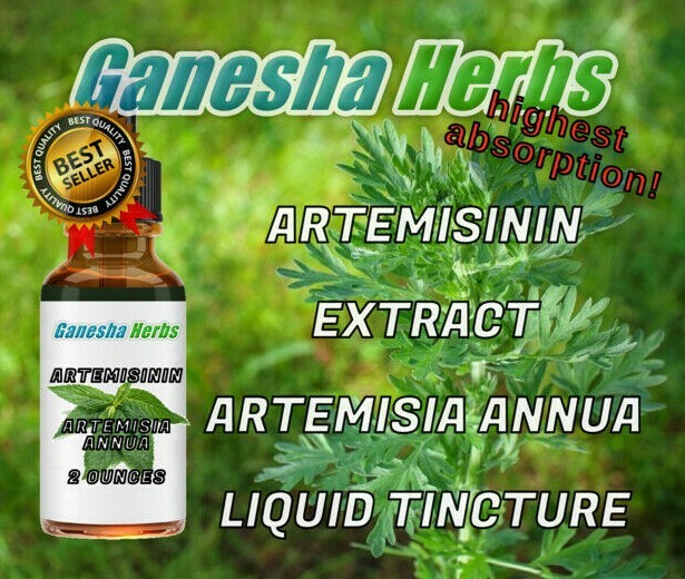 ARTEMISININ – Artemisia Annua – Sweet Wormwood Liquid Tincture 2 ounces