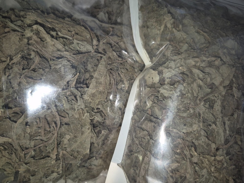 Premium Salvia Dried Leaves Herbal Blend – Fresh 21g