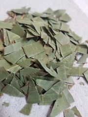 California Organic Eucalyptus globulus dry leaves