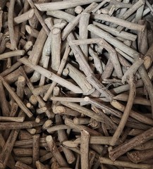 CHEW STICKS – PEPPERMINT MISWAK