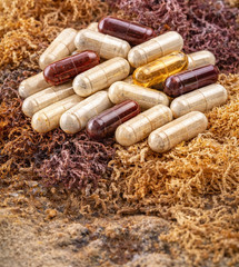 Irish Sea Moss Capsules – 100 Count – BOOST ENERGY & HEALTH – free shipping