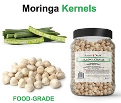 Moringa KERNELS 2 oz. Seeds oleifera Shelled 250 Semilla De Moringa Wholesale