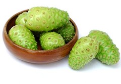 Noni Extract Powder – NONI EXTRACT 500mg – Increase Energy Levels – 3 Bottles