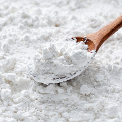 Arrowroot Powder Ready | Organic Non-GMO | Digestive Support | 1/4/8 oz Sizes