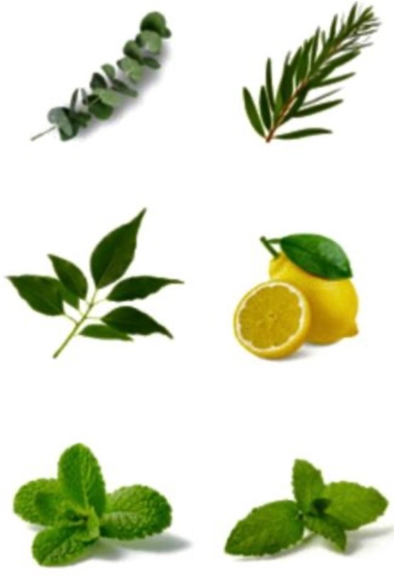 Restful Essential Oil Blend