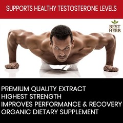 Men Power Tongkat Al LONGJACK PASAK BUMI STRONGEST ROOT EXTRACT 200:1 STAY Hard