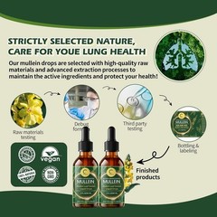 Natural Elderberry & Mullein Leaf Drops – Powerful Lung Cleanse Tincture 2 FL OZ