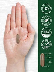 Carlyle Valerian Root Capsules 2400mg | 240 Count | 240 (Pack of 1)