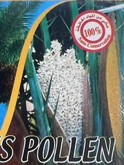 Moroccan Natural Ground Palm Pollen Powder Pure Herb for Women Men 15g Exp:12/28