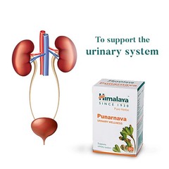 PUNARNAVA HIMALAYA Exp.Next 3 Years OFFICIAL USA Women Period Support Organic