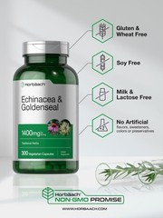 Echinacea Goldenseal Capsules 1400mg | 300 ct | Vegetarian, Non-GMO | Horbaach