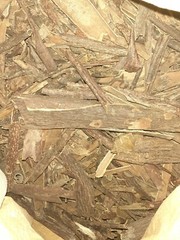 Mauby Bark 2 lb/-32 Oz Caribbean product herbs and botanicals 😇🤗😎👑