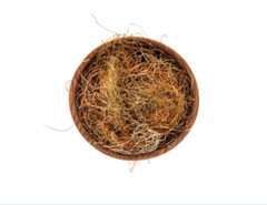 Corn Silk Herb Zea mays | Whole or Powder | Urinary & Kidney Support | 1/4/8 oz