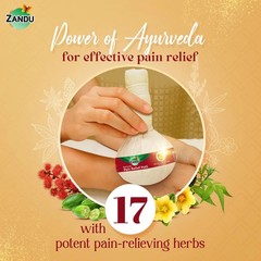 Zandu Pain Relief Potli 180g Ayurvedic Herbal Joint | Muscle Pain Therapy