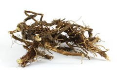 WHOLESALE!! STINGING NETTLE ROOT POWDER NON-GMO BULK HERB TEA-1,2,2,3,4,5 LBS