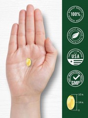 Odorless Garlic Softgels 8000 mg | 300 Count | High Potency Formula | by Carlyle