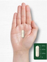 Wild Yam Root Capsules | 1200mg | 200 Count | Non-GMO, Gluten Free | by Carlyle