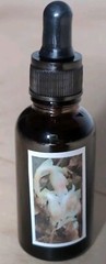 Ghost Pipe Tincture 30 mL All Natural Tinctured immediately after picking!