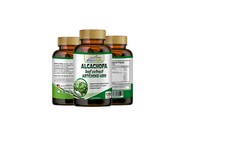 6 ALCACHOFA WEIGHT LOSS ANTIOXIDANT DETOX DIGESTIVE LIVER HEALTH FAT LOSS PILLS