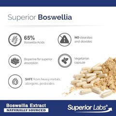 Boswellia Serrata Extract 500mg – 65% Boswellic Acids, Non-GMO, Joint Support, 2