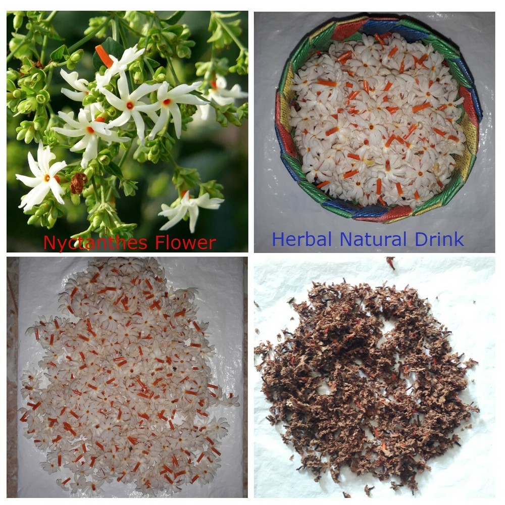 PURE DRIED JASMI NNIGHT FLOWER (Nyctanthes arbor) Coral Parijat Pavazhamalli 25g