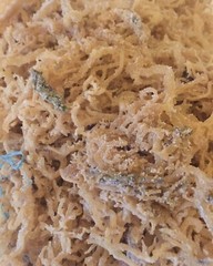 Sea Moss, Irish Moss Bulk unbranded 5 Lbs. Natural and fresh. Quality brand.