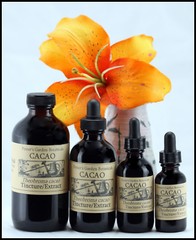 CACAO Extract Anandamide Antioxidants Enrich Mood Folk Handcraft Remedy Tincture