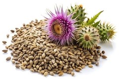 Milk Thistle Seed Extract Liquid Drops – Liver Detox Support – USA made
