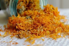 Organic Herbs Dried Cut / Powder & Spices – 1oz to 8oz – Free Ship USA
