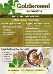 Wild Goldenseal Herb Leaf 1 oz Cut And Sifted Hydrastis Canadensis Washed/cut