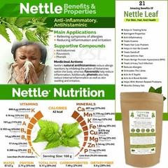Whole Organic Stinging Nettle Powder Wild Harvested Urtica Dioica 25g – 400g BIO