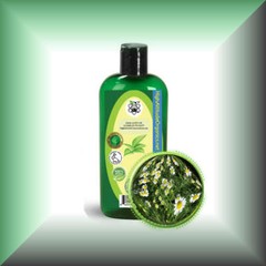 Chamomile Herbal Oil Extract