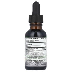 Nature s Answer Burdock Alcohol-Free 2 000 mg 1 fl oz 30 ml Alcohol-Free,